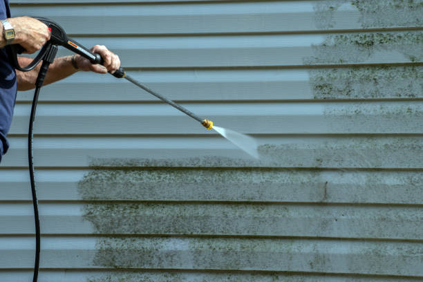 Best Local Pressure Washing Services  in Okeechobee, FL