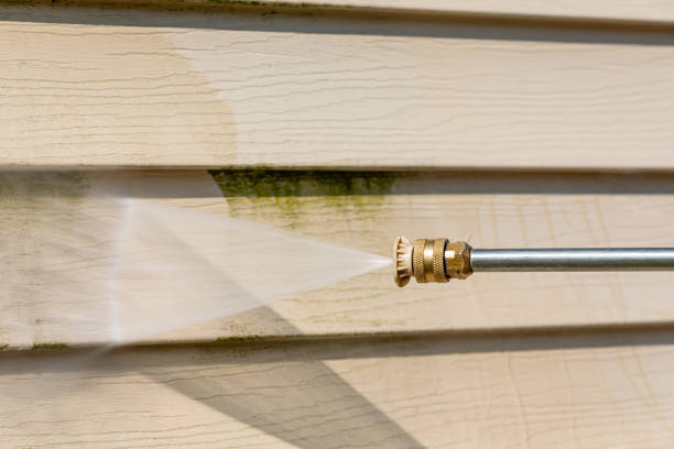 Best House Pressure Washing  in Okeechobee, FL
